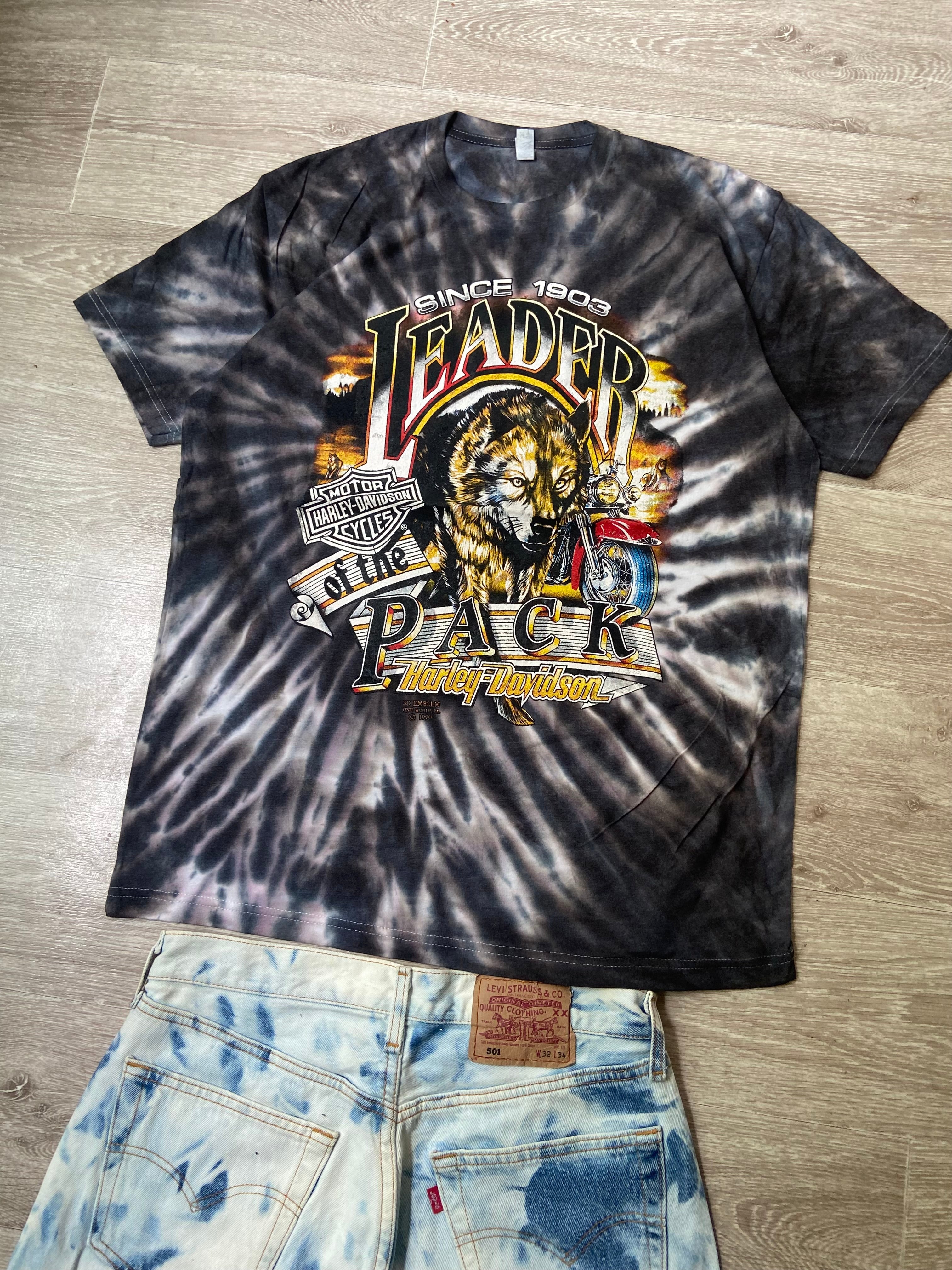 Graphic T-shirt Harley Davidson (L)